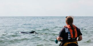 Duxbury Ma Beach Sticker Secrets: Why You Need One Today