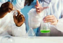 Sportworks Duxbury MA: Discover Top Athletic Gear & Expert Tips