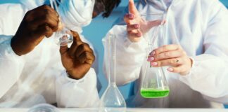 Sportworks Duxbury MA: Discover Top Athletic Gear & Expert Tips