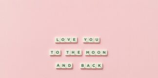 The Oysterman Duxbury: Discover The Hidden Seafood Gem Near You