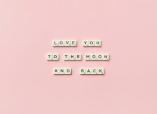 The Oysterman Duxbury: Discover The Hidden Seafood Gem Near You