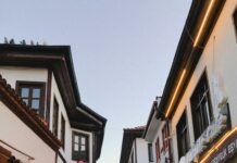 Village At Duxbury: Discover Hidden Gems and Charming Local Life