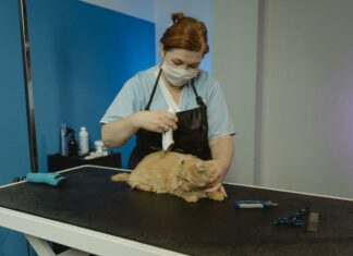 Duxbury Clipper Obituaries: Discover Stories That Touch Hearts