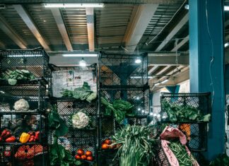 Bongi’s Turkey Farm Duxbury MA: Discover Unique Local Flavours!