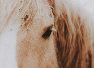 Mass Eye And Ear Duxbury: Discover Expert Care For Your Health