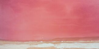 Duxbury High Tide Secrets: Discover When and Why It Happens