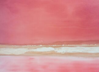 Duxbury High Tide Secrets: Discover When and Why It Happens