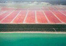 High Tide Duxbury MA: Discover Secrets to Coastal Beauty and Charm