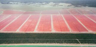 High Tide Duxbury MA: Discover Secrets to Coastal Beauty and Charm