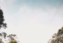 Lisa Duxbury: Discover The Inspiring Journey Behind Her Success