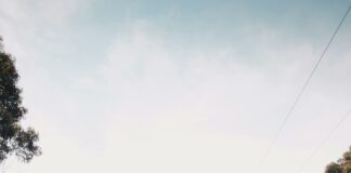 Lisa Duxbury: Discover The Inspiring Journey Behind Her Success