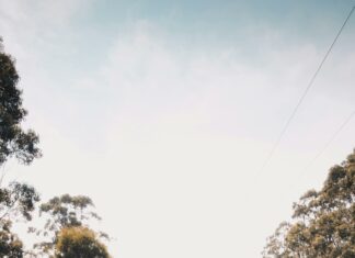 Lisa Duxbury: Discover The Inspiring Journey Behind Her Success