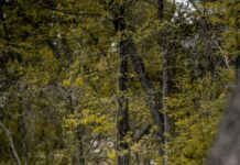 Bay Path Rehab Duxbury MA: Discover Effective Healing Secrets Today