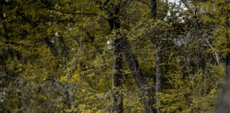 Bay Path Rehab Duxbury MA: Discover Effective Healing Secrets Today