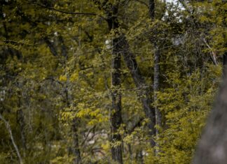 Bay Path Rehab Duxbury MA: Discover Effective Healing Secrets Today