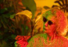 Duxbury Gray: Discover The Stunning Appeal Of This Elegant Hue