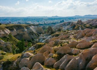 Foodsmith Duxbury: Discover Irresistible Flavours and Unique Eats