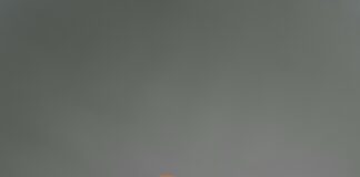 Brahmin Mini Duxbury: Why Is This Bag a Must-Have Treasure?