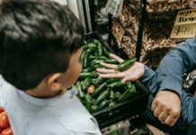 Brothers Market Duxbury: Discover The Ultimate Local Shopping Experience