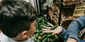 Brothers Market Duxbury: Discover The Ultimate Local Shopping Experience