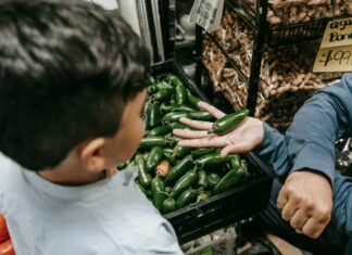 Brothers Market Duxbury: Discover The Ultimate Local Shopping Experience