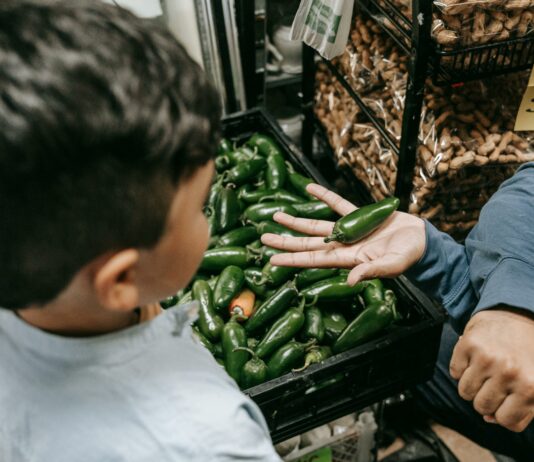 Brothers Market Duxbury: Discover The Ultimate Local Shopping Experience