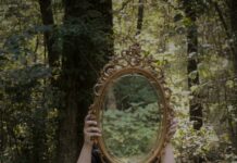 Duxbury USA: Discover Hidden Gems and Untold Stories Today