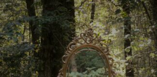 Duxbury USA: Discover Hidden Gems and Untold Stories Today