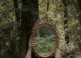 Duxbury USA: Discover Hidden Gems and Untold Stories Today