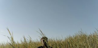 Reeds Jewelers Duxbury MA: Discover Stunning Gems and Deals