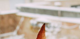 Duxbury VT Weather: What Surprising Changes Should You Expect?