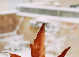 Duxbury VT Weather: What Surprising Changes Should You Expect?