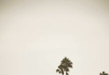 Homes For Rent Duxbury MA: Discover Your Perfect Seaside Retreat