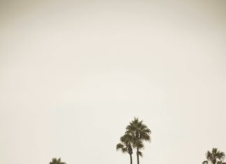 Homes For Rent Duxbury MA: Discover Your Perfect Seaside Retreat