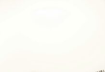 The Sun Tavern Duxbury MA: Discover Hidden Gems and Unique Flavours