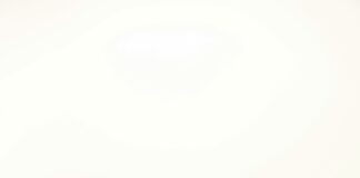 The Sun Tavern Duxbury MA: Discover Hidden Gems and Unique Flavours