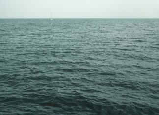 High Tide In Duxbury: Discover The Secrets Behind Coastal Swells