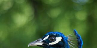 Beehive Salon Duxbury MA: Discover Stunning Styles and Secrets