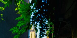 Duxbury Ma Town Secrets: Discover Hidden Gems and Local Charm