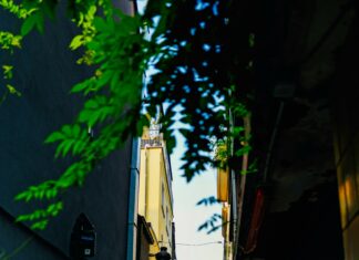 Duxbury Ma Town Secrets: Discover Hidden Gems and Local Charm