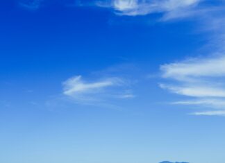 Island Creek Village Duxbury MA: Discover Hidden Coastal Charm Today