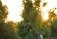 Duxbury Oyster Company Secrets: Why Locals Can’t Get Enough