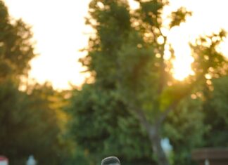 Duxbury Oyster Company Secrets: Why Locals Can’t Get Enough