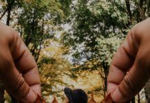 Duxbury MA Population: Discover What Makes This Town Unique