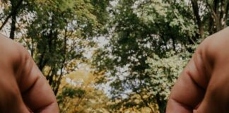 Duxbury MA Population: Discover What Makes This Town Unique