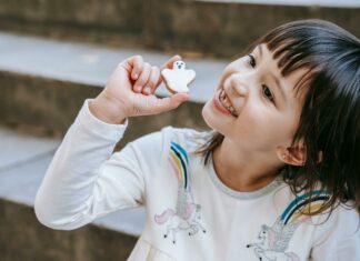 My Little Bakery Duxbury: Discover Irresistible Treats Near You