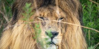 King Caesar Rd Duxbury MA: Discover Its Hidden Local Treasures