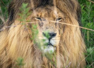 King Caesar Rd Duxbury MA: Discover Its Hidden Local Treasures