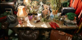 Duxbury Thrift Secrets: Why Everyone Is Talking About This Gem