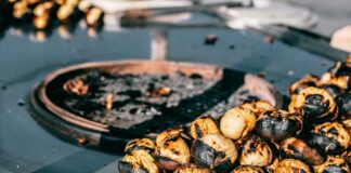 Chestnut St Grille Duxbury MA Menu: Discover Delicious Local Flavours